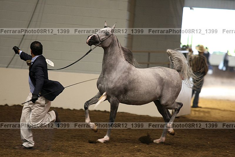 Proof 08r12_1399