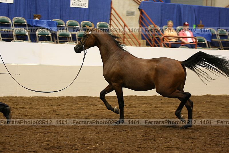 Proof 08r12_1401