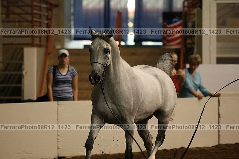 Proof 08r12_1423