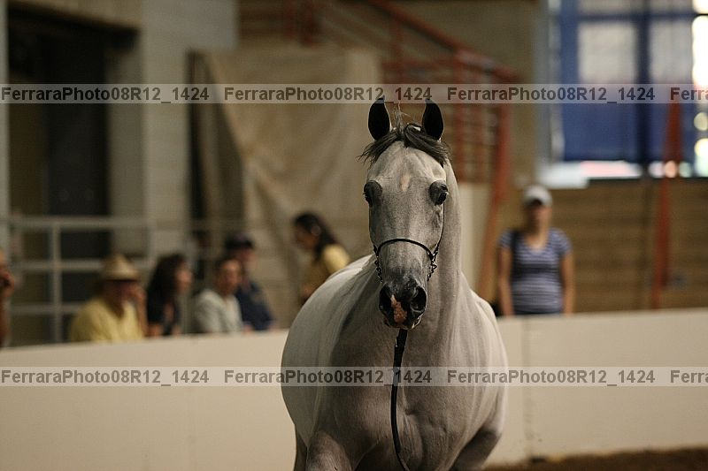 Proof 08r12_1424