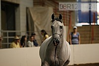 08r12_1424 proof