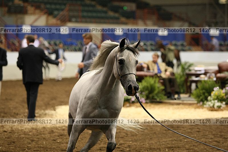 Proof 08r12_1426