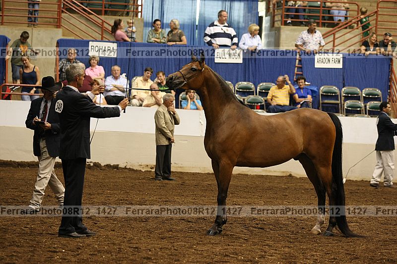 Proof 08r12_1427