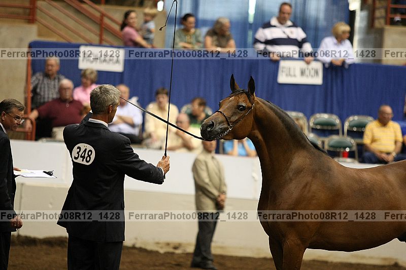 Proof 08r12_1428