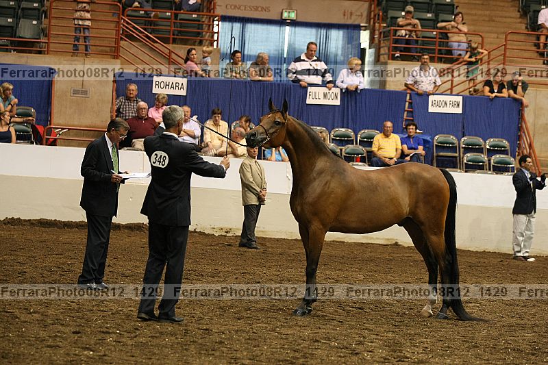Proof 08r12_1429
