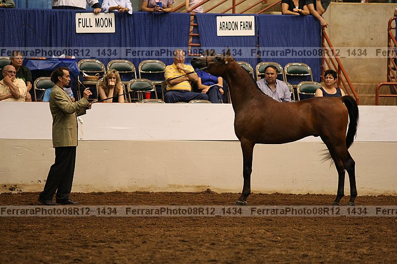 Proof 08r12_1434