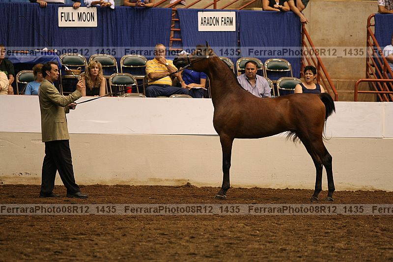 Proof 08r12_1435