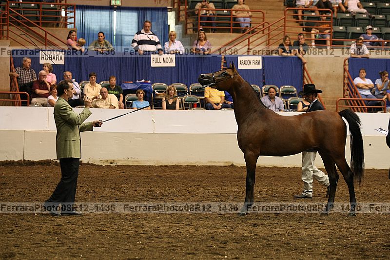 Proof 08r12_1436