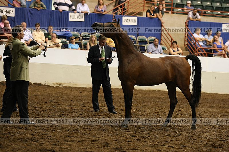 Proof 08r12_1437