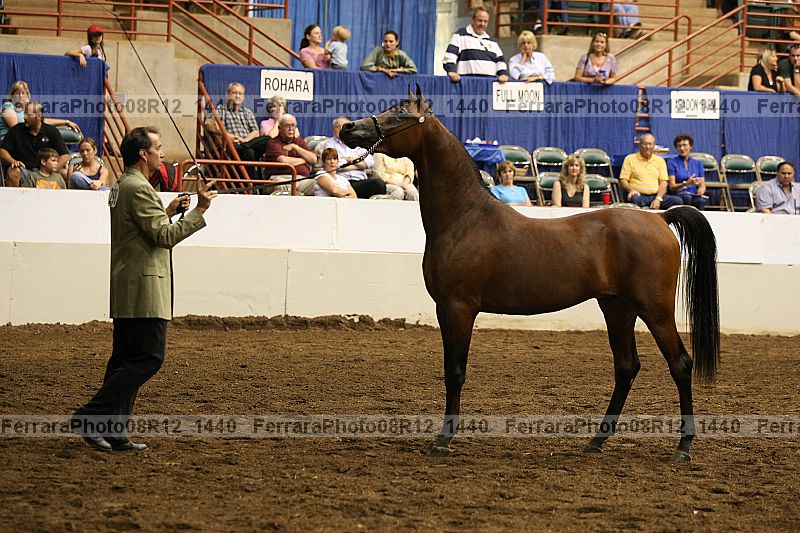 Proof 08r12_1440