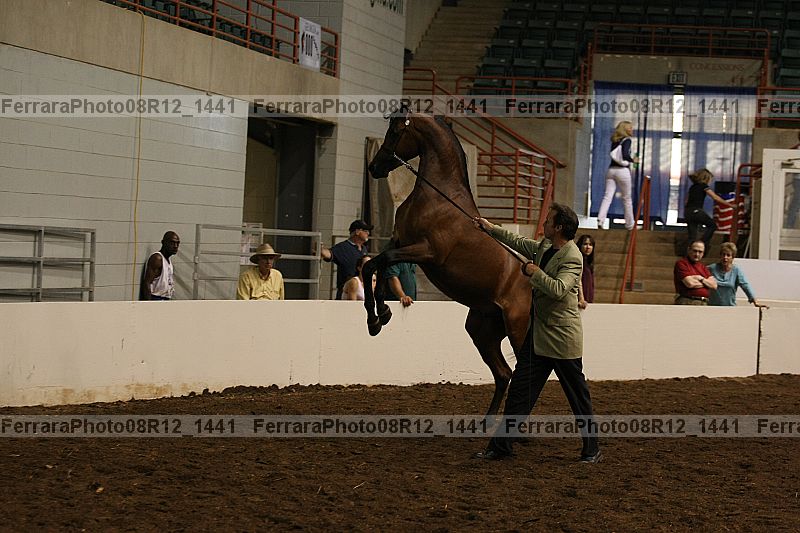 Proof 08r12_1441