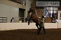08r12_1441 proof