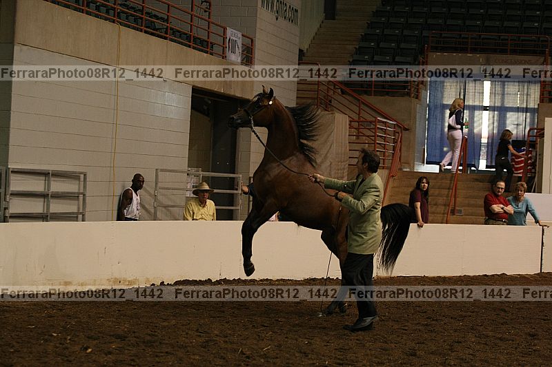 Proof 08r12_1442