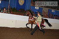 08r12_1456 proof