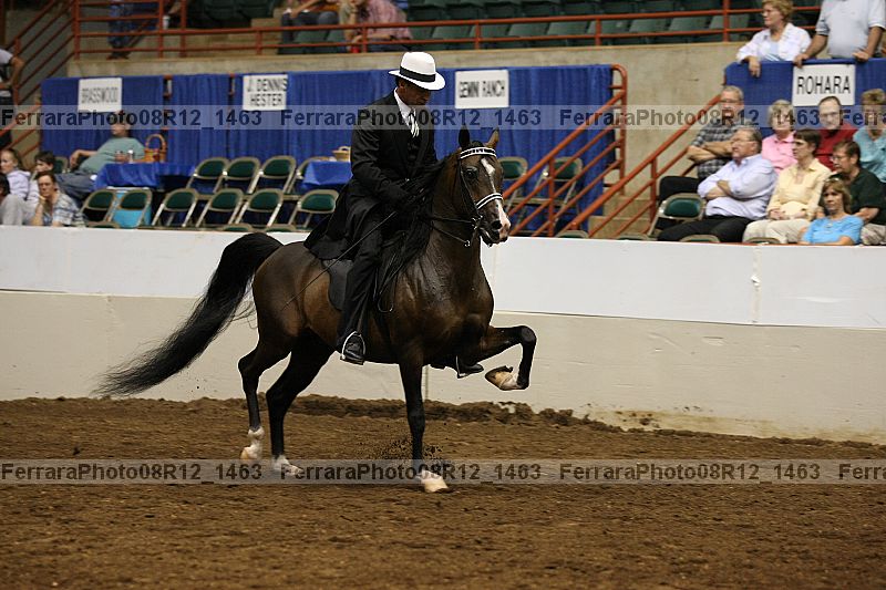 Proof 08r12_1463