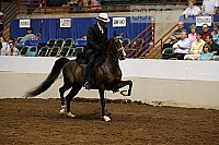 08r12_1463 proof