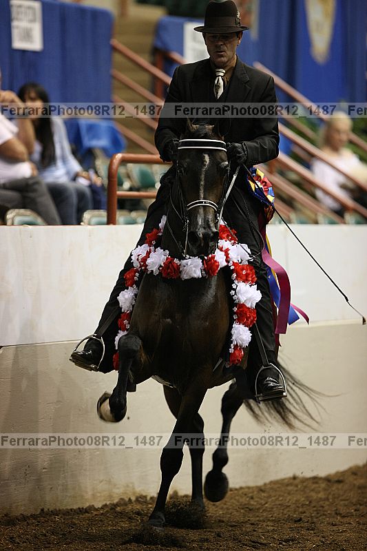 Proof 08r12_1487
