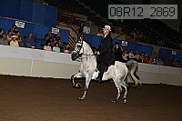 08r12_2869 proof