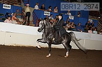 08r12_2874 proof