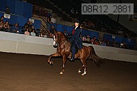 08r12_2881 proof