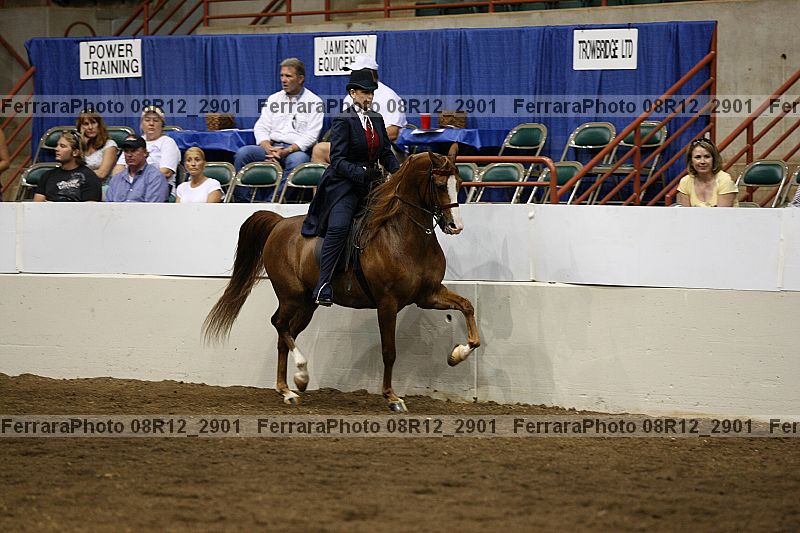 Proof 08r12_2901