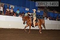 08r12_1493 proof