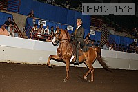 08r12_1518 proof
