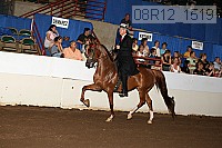 08r12_1519 proof
