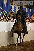 08r12_1527 proof