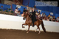 08r12_1528 proof