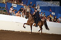 08r12_1529 proof