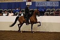 08r12_1539 proof