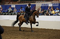 08r12_1544 proof