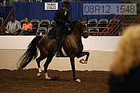 08r12_1548 proof