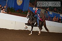 08r12_1563 proof