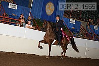 08r12_1565 proof