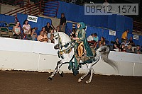 08r12_1574 proof
