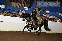 08r12_1575 proof