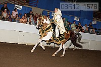 08r12_1578 proof