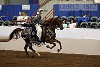 08r12_1582 proof