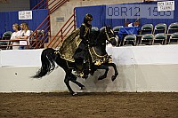 08r12_1583 proof