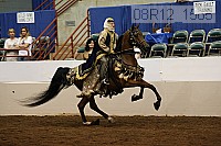 08r12_1585 proof