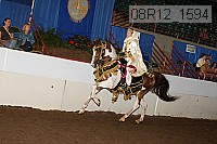 08r12_1594 proof