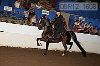 08r12_1608 proof