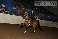08r12_1609 proof