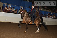 08r12_1610 proof