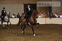 08r12_1617 proof