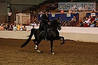 08r12_1621 proof