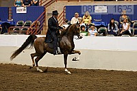 08r12_1625 proof