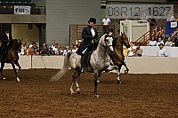 08r12_1627 proof